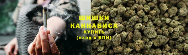 PSILOCYBIN Вязники