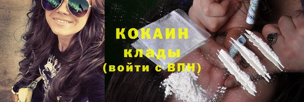 PSILOCYBIN Вязники
