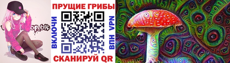 Купить  Лангепас  Галлюциногенные грибы Psilocybe 