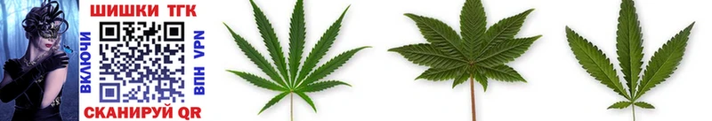 Купить  Лангепас  Шишки марихуана SATIVA & INDICA 